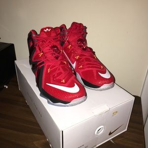 Lebron The 12 Elite Size 11